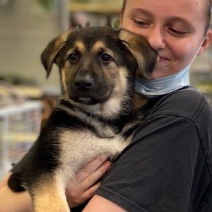 Meet your Posher, Alyssa